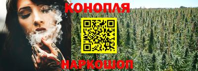 Альфа ПВП Ливны