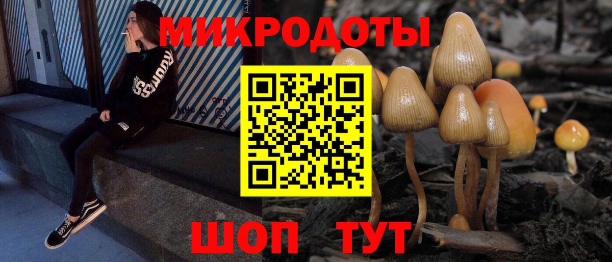 Салехард  Псилоцибиновые грибы Cubensis  Вход с VPN 